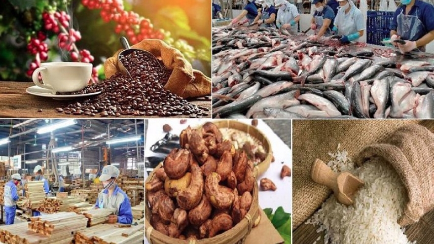 MoIT targets market diversification and import-export growth
